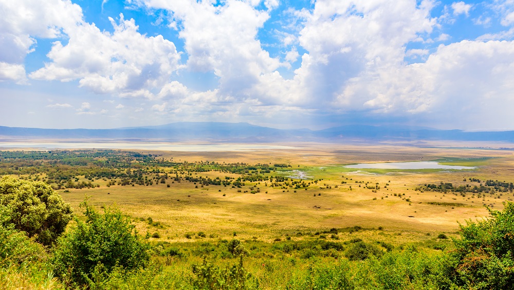 Biodiversity and Mining Governance