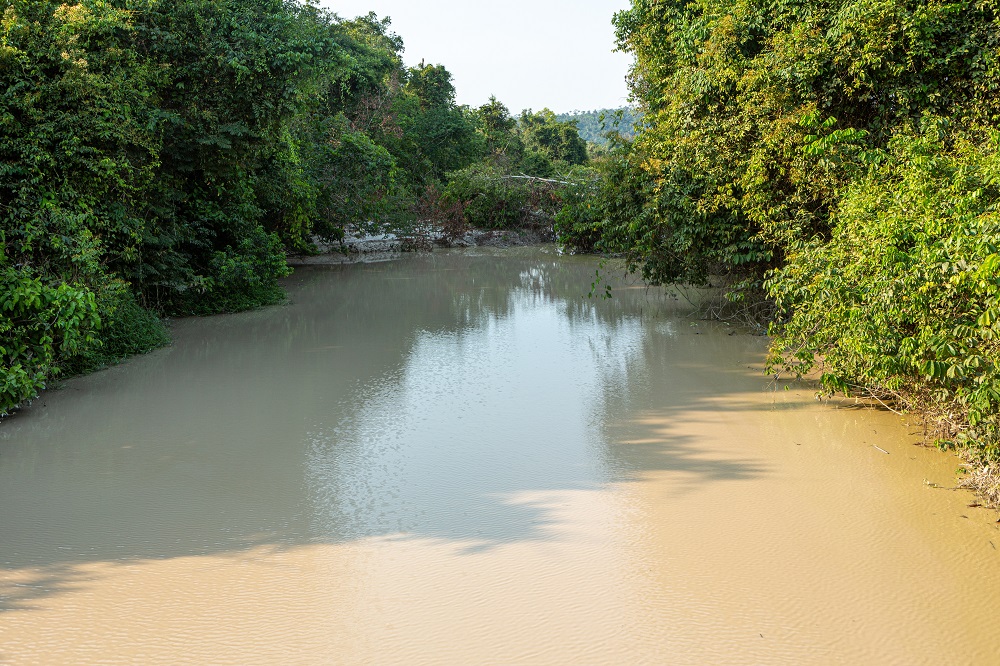 Environmental impact In addition to the violence, illegal gold mining is connected to grave environmental impacts such as deforestation, which has skyrocketed on both the Yanomami and Munduruku reserves in recent years. Mercury, a highly toxic substance linked to birth defects and neurological disorders, is used in the gold amalgamation process and pollutes rivers and local food chains that Indigenous communities depend on.