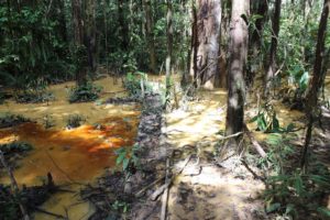 Contamination d'une rivière