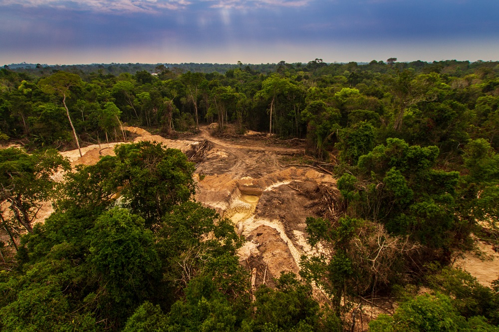 deforestation brazil