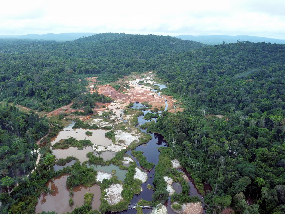 deforestation rainforest