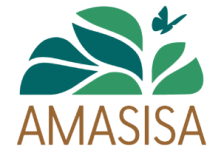 Amasisa-Logo Amasisa-Logo
