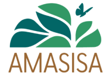 Amasisa-Logo