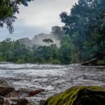 Fleuve Amazonie