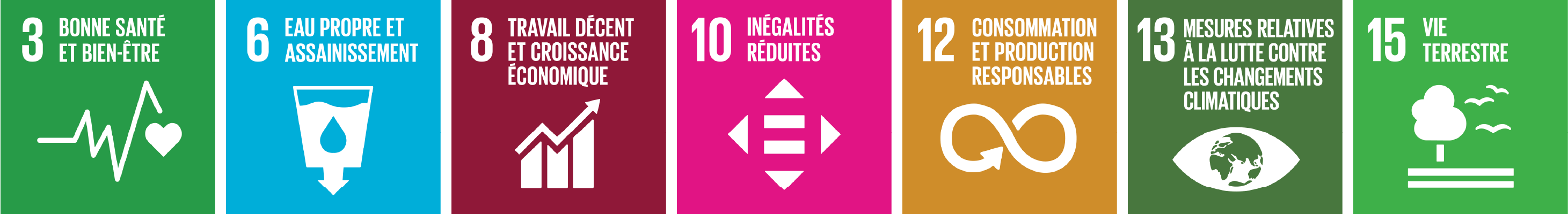 United Nations Sustainable Development Goals