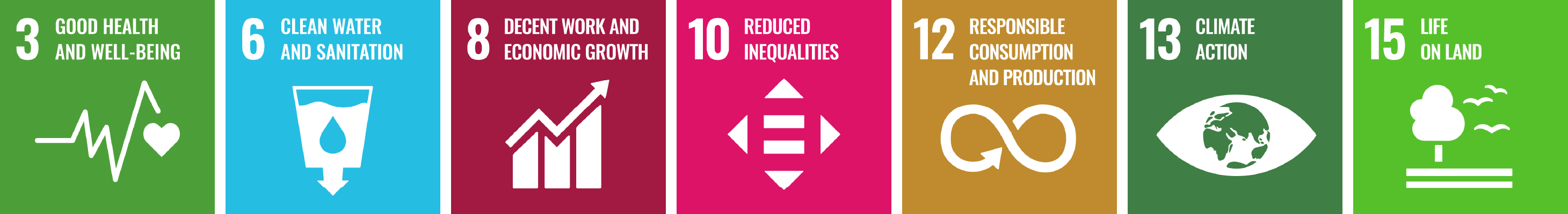 United Nations’ Sustainable Development Goals (SDGs)