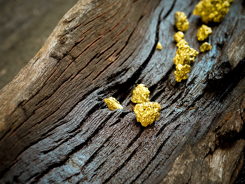 Gold nuggets on wood